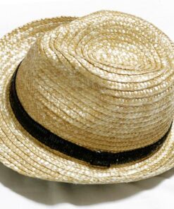 Listen Flavor Sequin Band Hat
