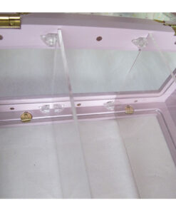 Swimmer Display Case (Rainbow)