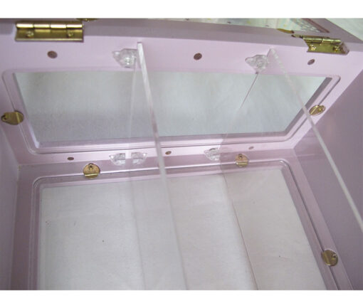 Swimmer Display Case (Rainbow)