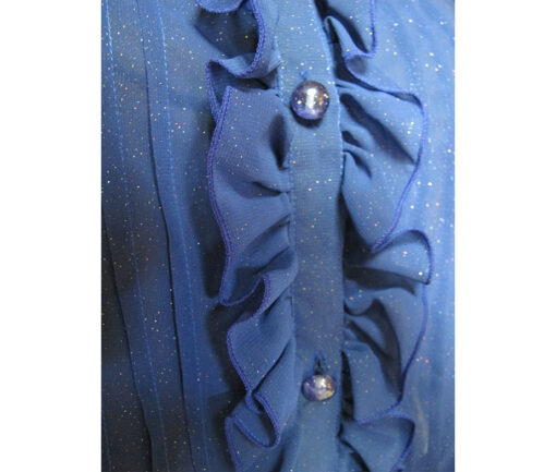 Alice and the Pirates Glitter Chiffon Blouse